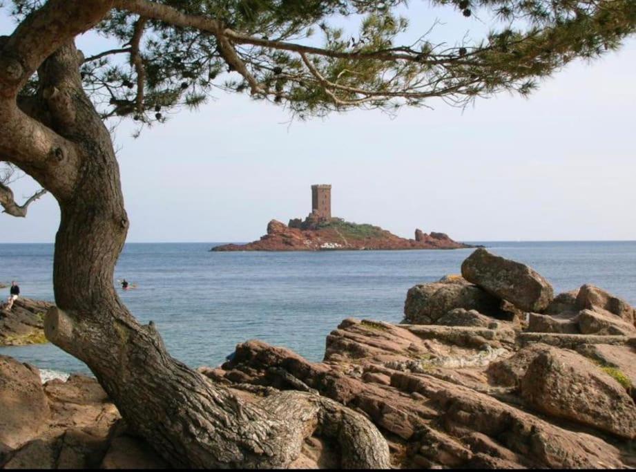 Chaleureux Appartement Face Au Port Sta Lucia, Tout A Pieds, Wifi Saint-Raphaël Екстериор снимка
