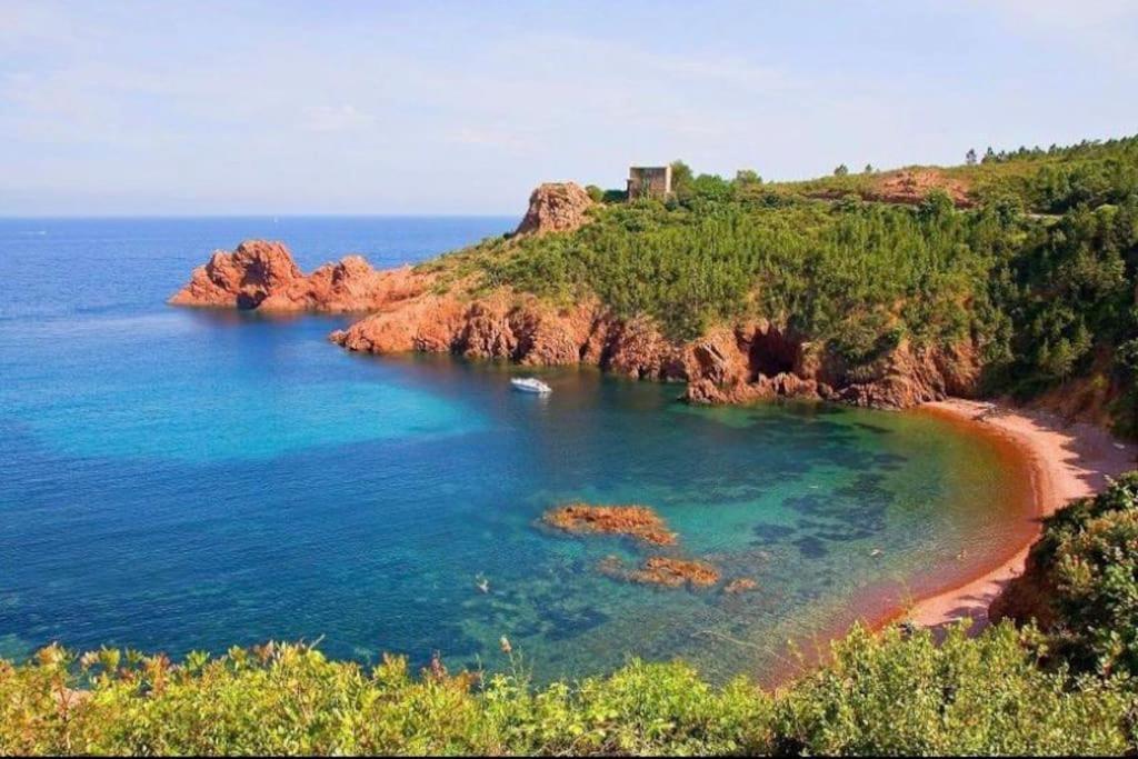Chaleureux Appartement Face Au Port Sta Lucia, Tout A Pieds, Wifi Saint-Raphaël Екстериор снимка